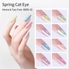 Silky Silver Cat Eye Gel Polish (Hema & Tpo Free) 