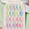 Silky Silver Cat Eye Gel Polish (Hema & Tpo Free) 